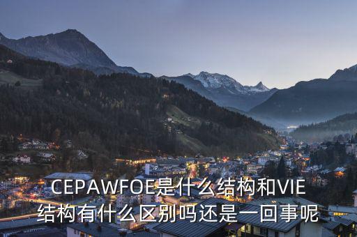 CEPAWFOE是什么結(jié)構(gòu)和VIE結(jié)構(gòu)有什么區(qū)別嗎還是一回事呢