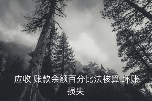  應(yīng)收 賬款余額百分比法核算 壞賬損失