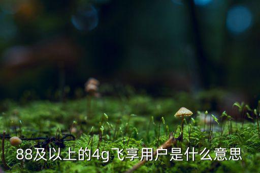 4g用戶(hù)是什么意思，88及以上的4g飛享用戶(hù)是什么意思