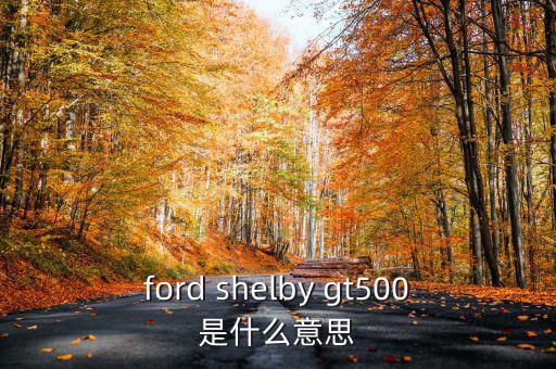 東盟油500是什么，ford shelby gt500是什么意思