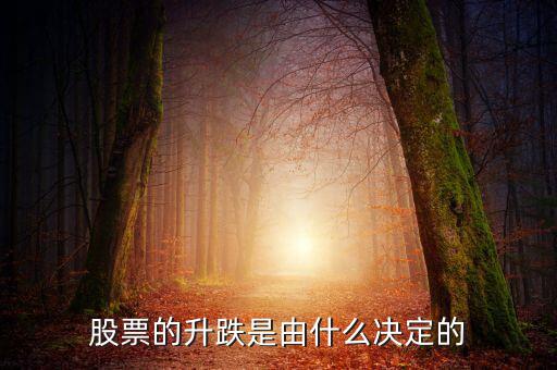 股票根據(jù)什么跌升，股票的升跌是由什么決定的