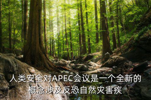 2014apec峰會簽署了什么文件，亞洲和太平洋地區(qū)經(jīng)濟(jì)合作會議簡稱 APEC