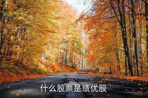 什么是績(jī)效股票，什么叫成長(zhǎng)股和績(jī)效股