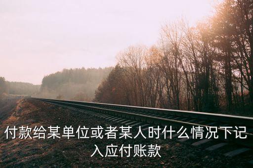 付款給某單位或者某人時什么情況下記入應付賬款