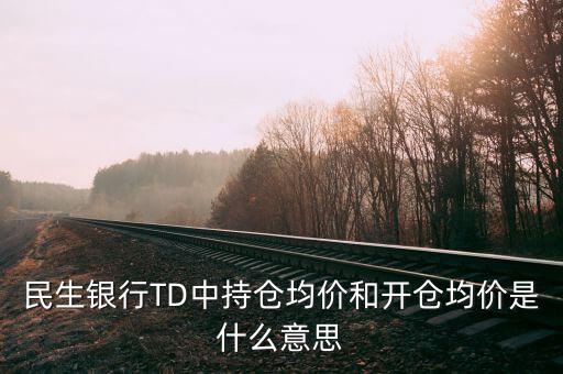 民生銀行TD中持倉均價(jià)和開倉均價(jià)是什么意思