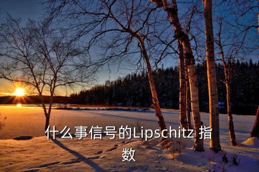 什么事信號(hào)的Lipschitz 指數(shù)