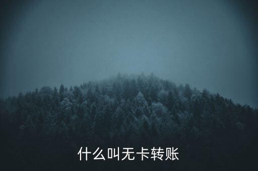 什么叫無卡轉(zhuǎn)賬