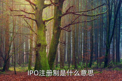 ipo注冊制是什么意思，IPO注冊制是什么意思和審批制有什么區(qū)別