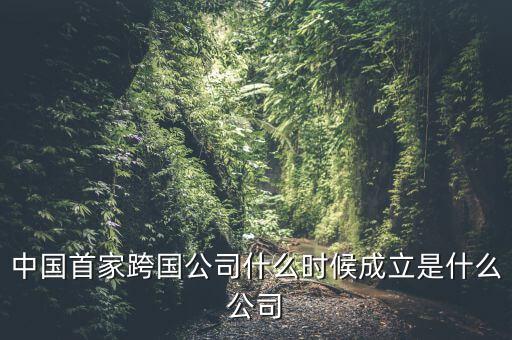 中國(guó)首家跨國(guó)公司什么時(shí)候成立是什么公司