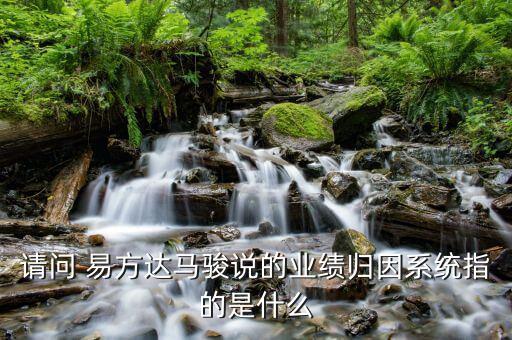 請問 易方達馬駿說的業(yè)績歸因系統(tǒng)指的是什么