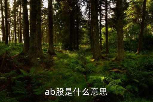 ab股什么意思，AB股是什么意思