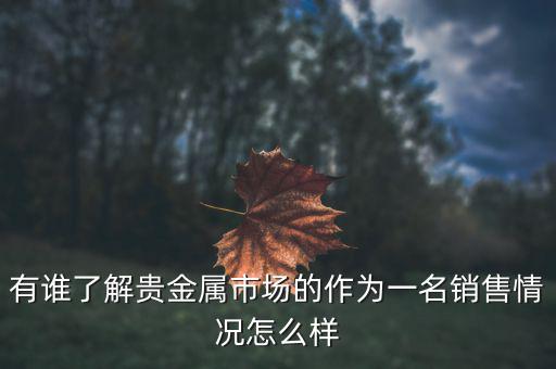 貴金屬公司為什么泛濫，有誰(shuí)了解貴金屬市場(chǎng)的作為一名銷(xiāo)售情況怎么樣