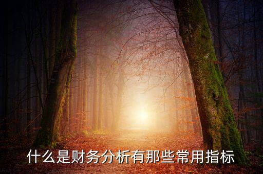 什么是財務(wù)分析有那些常用指標(biāo)