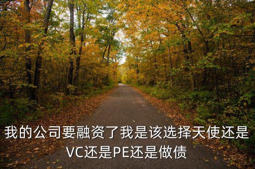 我的公司要融資了我是該選擇天使還是VC還是PE還是做債