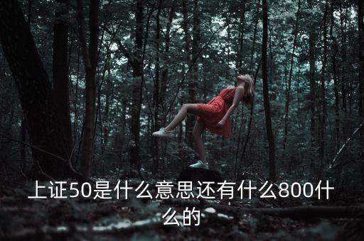 上證50是什么意思還有什么800什么的