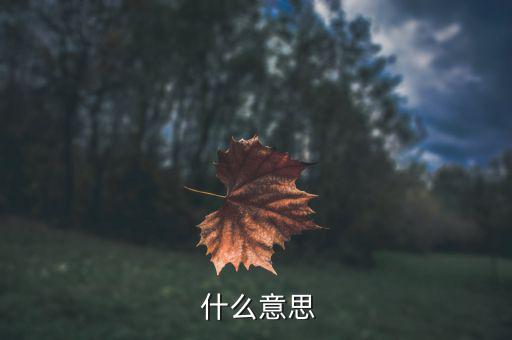  什么意思