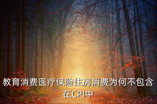 房價為什么不納入cpi，為什么在中國房價不算入CPI消費水平也就是物價里面