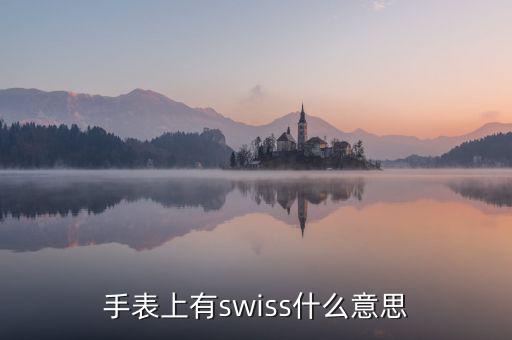 歐行手表什么意思，手表上有swiss什么意思