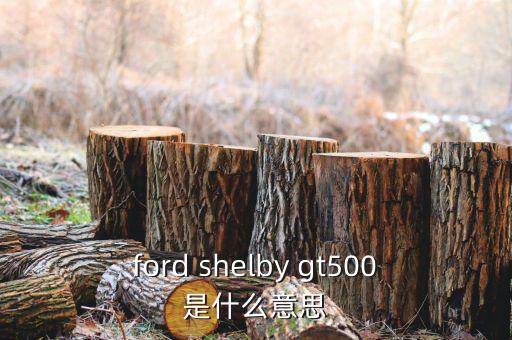 ford shelby gt500是什么意思