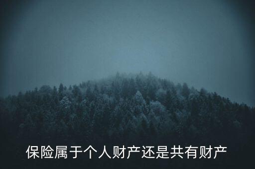 保險屬于個人財產(chǎn)還是共有財產(chǎn)