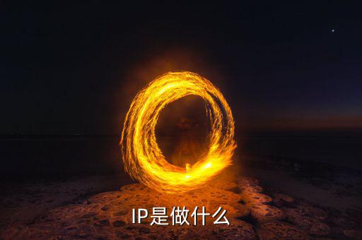 IP是做什么