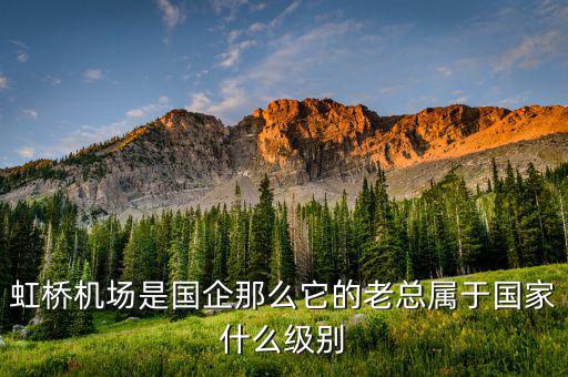 機場董事長什么級別，虹橋機場是國企那么它的老總屬于國家什么級別