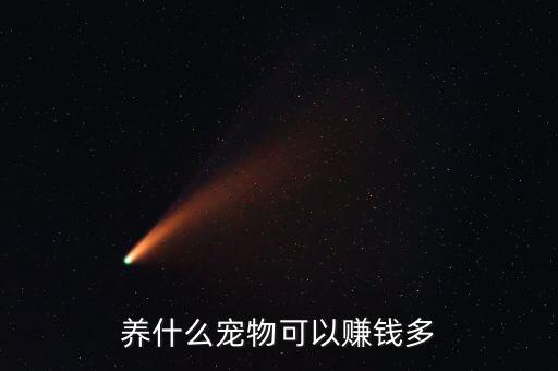 養(yǎng)什么寵物可以賺錢多