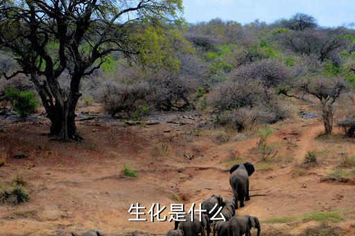 長安生化是什么呢，生化是指什么呀