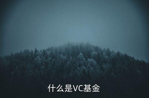 vc基金是什么，什么叫VC基金