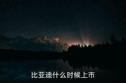 比亞迪什么時(shí)候上市