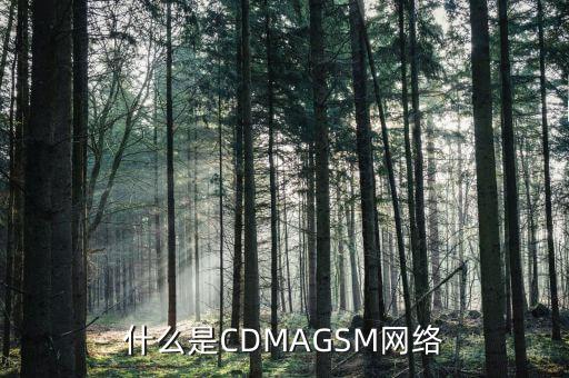 電信cdma是什么網(wǎng)絡(luò)，cdma是什么網(wǎng)絡(luò)