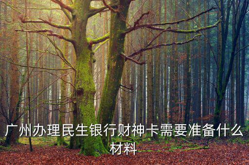 廣州辦理民生銀行財(cái)神卡需要準(zhǔn)備什么材料