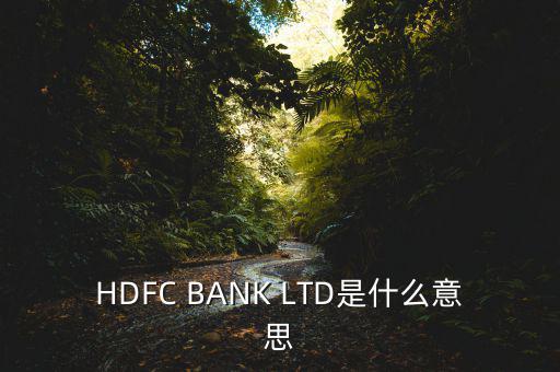 HDFC BANK LTD是什么意思