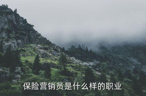 保險(xiǎn)營(yíng)銷(xiāo)員是什么樣的職業(yè)