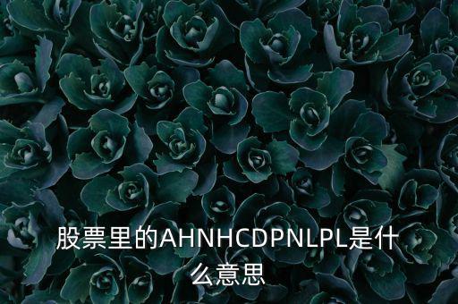 股票nl是什么意思，股票里的AHNHCDPNLPL是什么意思