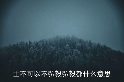 市布可以不弘毅什么意思，曾子曰士不可以不弘毅 什么意思