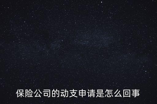 什么是動支申請，怎么樣支申請