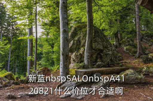 久遠(yuǎn)銀海什么價(jià)位才賣，新藍(lán)nbspSALOnbspA4120821什么價(jià)位才合適啊