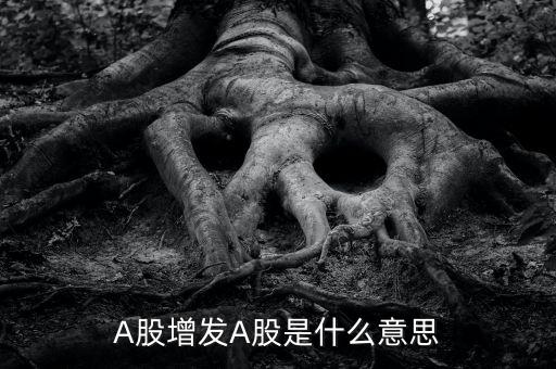 A股增發(fā)A股是什么意思