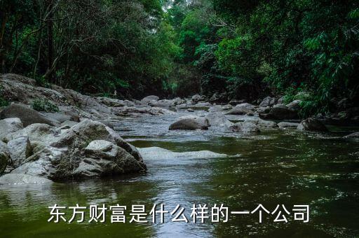 東方財(cái)富是什么樣的一個(gè)公司