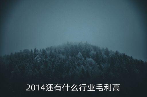 2014還有什么行業(yè)毛利高