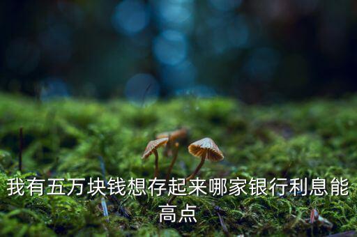 我有五萬塊錢想存起來哪家銀行利息能高點(diǎn)