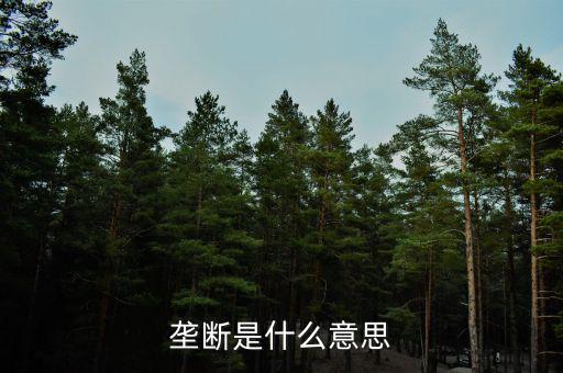 價(jià)格壟斷是什么意思，壟斷是什么意思