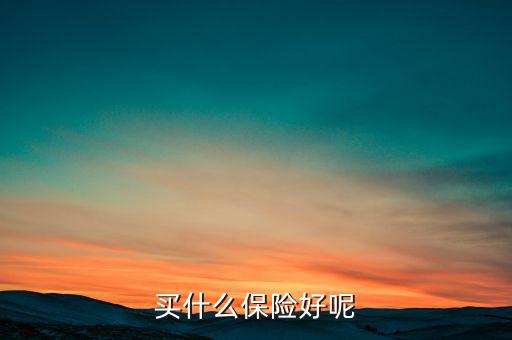 買(mǎi)什么保險(xiǎn)好呢