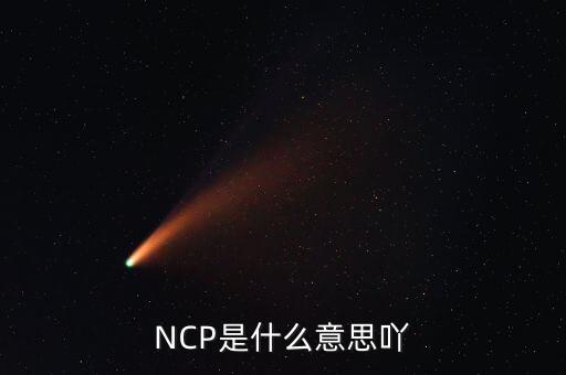 可比企業(yè)ncp是什么簡(jiǎn)稱，NCP是什么意思吖