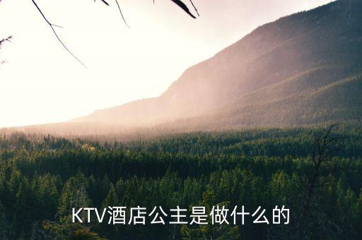 酒店出臺是干什么的，KTV酒店公主是做什么的