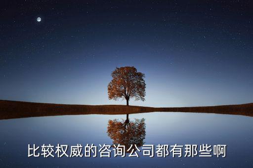 艾瑞和易觀是什么公司，易觀國際有幾個子公司