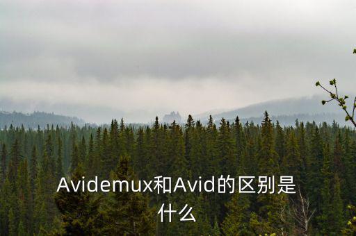 Avidemux和Avid的區(qū)別是什么