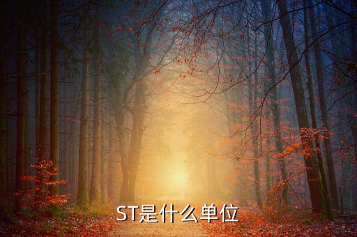 縮寫st表示什么數(shù)量單位，ST是什么單位