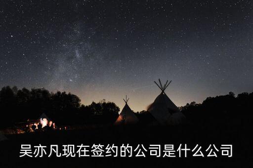 大名城是什么公司，深圳天派電子有限公司是什么企業(yè)啊